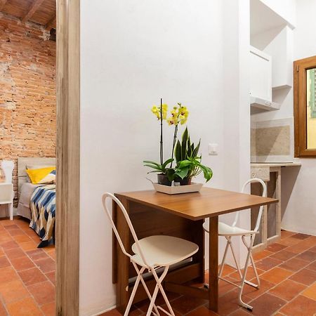 Central Cool Apt S. Spirito, Ac Florenz Exterior foto